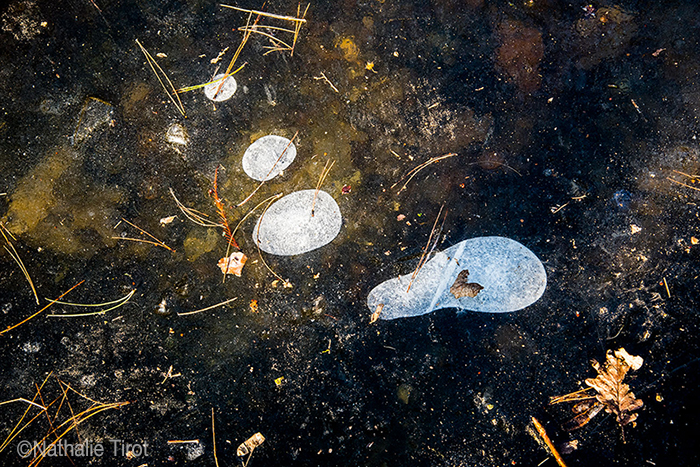 Pas glacé, Nathalie Tirot