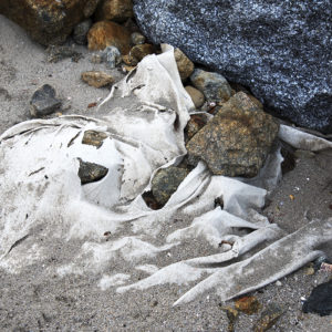 le fantôme de la plage Traces Nathalie Tirot