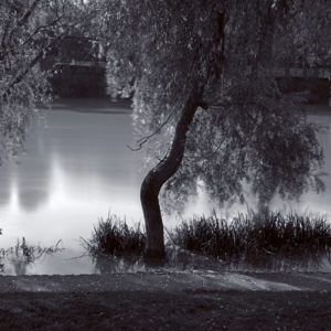 Zénitude sur les bords de Marne