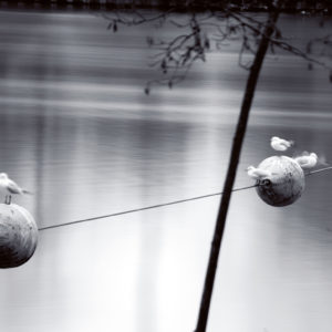 Quai du barrage Nathalie Tirot